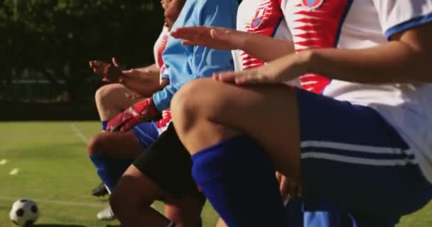 Side View Diverse Female Soccer Team Running Place Soccer Field — Stock Video