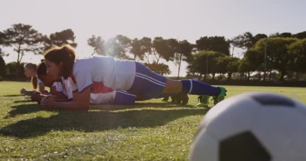 Side View Diverse Female Soccer Players Planking Soccer Field Sunny — Stock Video