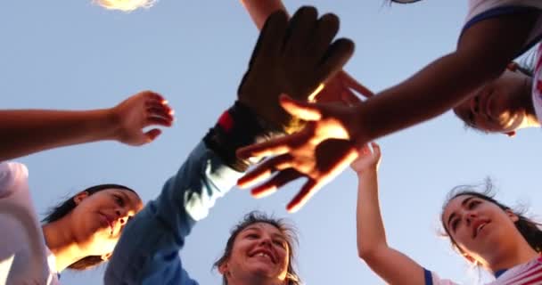 Vista Basso Angolo Diverse Squadre Calcio Femminile Stringendo Mani Sorridendo — Video Stock