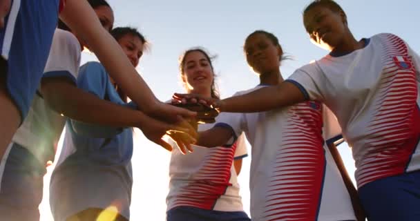 Visão Baixo Ângulo Equipe Futebol Feminino Diversificada Apertando Mãos Juntas — Vídeo de Stock