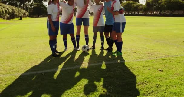 Vista Frontal Del Diverso Equipo Femenino Fútbol Pie Brazo Brazo — Vídeo de stock