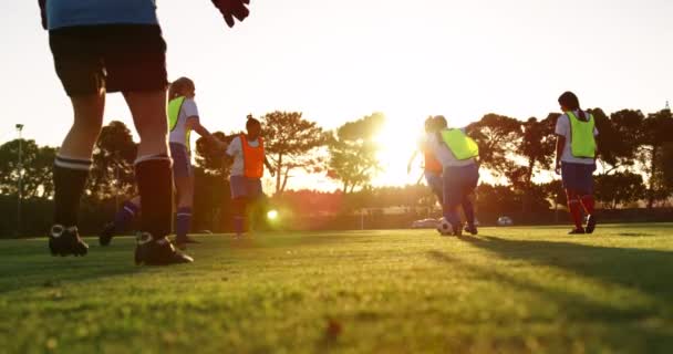 Niedrige Sektion Des Vielfältigen Weiblichen Fußballmannschaftstrainings Und Ballübergabe Bei Sonnenuntergang — Stockvideo