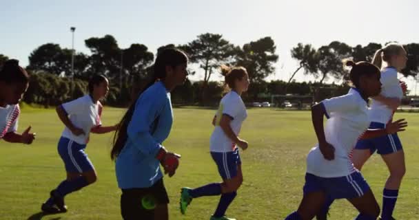 阳光明媚的一天 活跃多样的女足在足球场上奔跑的侧视图 — 图库视频影像
