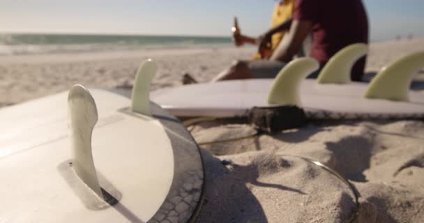 Zijaanzicht Van Afro Amerikaanse Echtpaar Toasten Bierflessen Het Strand Surfplanken — Stockvideo