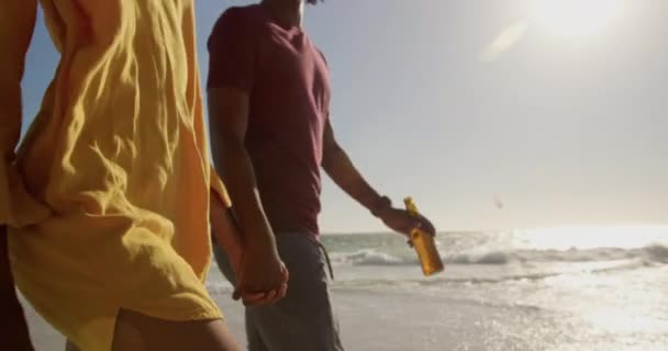 ビーチで一緒に歩くアフリカ系アメリカ人カップルの側面図 手を握っている4K — ストック動画