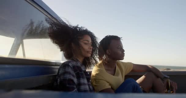 Vue Latérale Couple Afro Américain Relaxant Sur Une Camionnette Plage — Video