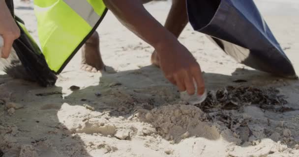 Baixa Seção Voluntários Diversos Limpeza Praia Dia Ensolarado Estão Apanhar — Vídeo de Stock