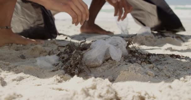 Sección Baja Diversos Voluntarios Limpiando Playa Día Soleado Están Recogiendo — Vídeos de Stock