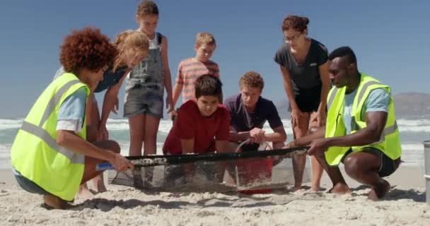 Vista Frontale Diversi Volontari Pulizia Spiaggia Una Giornata Sole Partecipano — Video Stock