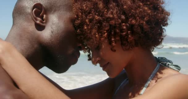 Vista Lateral Joven Pareja Afroamericana Abrazándose Playa Bajo Sol Son — Vídeos de Stock