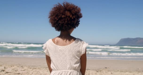 太陽の下でビーチでリラックスする若いアフリカ系アメリカ人女性の背面図 彼女は海4Kを見ています — ストック動画