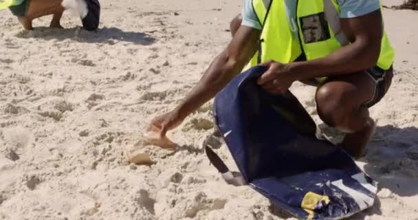 Vista Frontal Playa Limpieza Voluntarios Afroamericanos Día Soleado Está Sonriendo — Vídeos de Stock