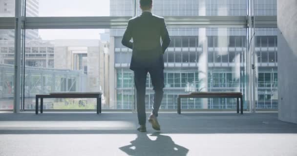 Rear View Caucasian Businessman Looking Upwards Lobby Office Modern Buildings — Stock Video