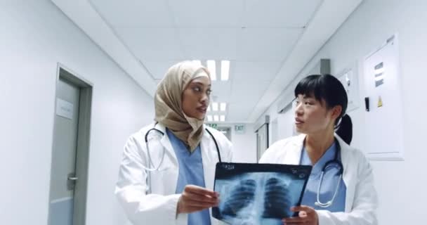 Acercamiento Seguimiento Inverso Dos Doctores Jóvenes Diversos Discusión Sosteniendo Una — Vídeo de stock