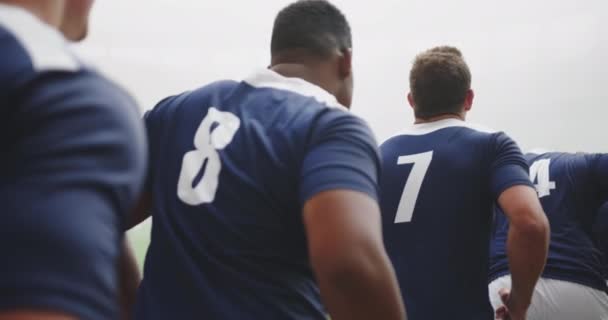 Zadní Pohled Různé Mužské Rugby Hráči Běží Řadě Stadionu Zahřívají — Stock video