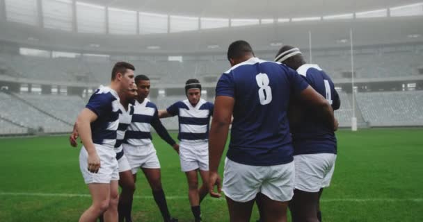 Çeşitli Erkek Rugby Oyuncularının Sahada Toplanma Şekilleri Planda Konuşuyorlar Planlıyorlar — Stok video