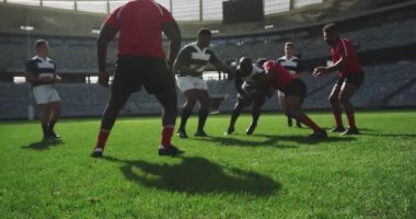 Stadyumda rugby oynayan çeşitli rugby oyuncularının ön görüntüsü. Birbirlerine 4k koşuyorlar.