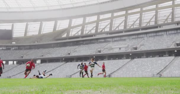 Stadyumda Rugby Oynayan Çeşitli Rugby Oyuncularının Görüntüsü Gol Çizgisi Zıplıyor — Stok video