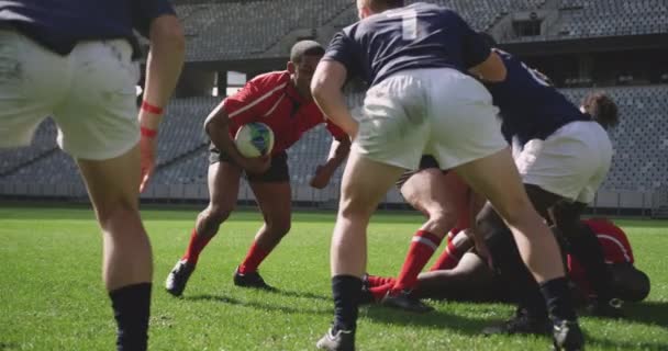 Vooraanzicht Van Diverse Rugbyspelers Die Rugbywedstrijd Spelen Het Stadion Vechten — Stockvideo