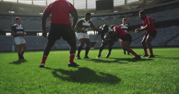 Stadyumda Rugby Oynayan Çeşitli Rugby Oyuncularının Görüntüsü Birbirlerine Koşuyorlar — Stok video