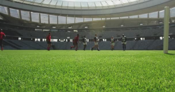 Vista Frontal Jugadores Rugby Jugando Rugby Estadio Jugador Masculino Saltando — Vídeo de stock