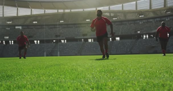 Stadyumda Rugby Oynayan Farklı Rugby Oyuncularının Düşük Açılı Görüntüsü Birbirlerine — Stok video