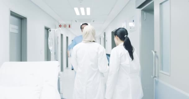 Farklı Genç Kadın Doktorun Röntgen Çekimini Takip Edin Stajyer Doktor — Stok video