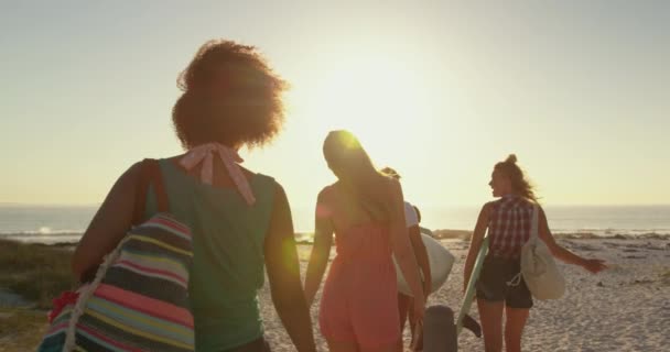 Rückansicht Einer Multiethnischen Gruppe Junger Erwachsener Freunde Die Bei Sonnenuntergang — Stockvideo