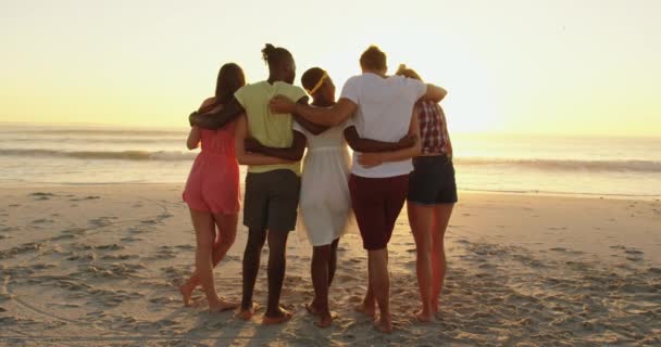 Rückenansicht Einer Multiethnischen Gruppe Junger Erwachsener Freunde Die Strand Stehen — Stockvideo