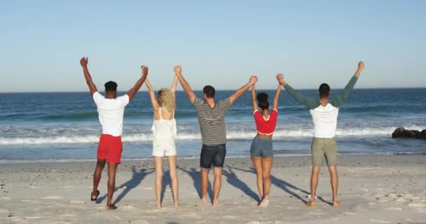 Полный Обзор Многонациональной Группы Молодых Взрослых Друзей Стоящих Пляже Держа — стоковое видео