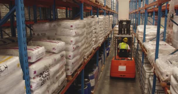 Elevated Back View Forklift Truck Lifting Pallet Sacks Corridor Shelves — Stock Video