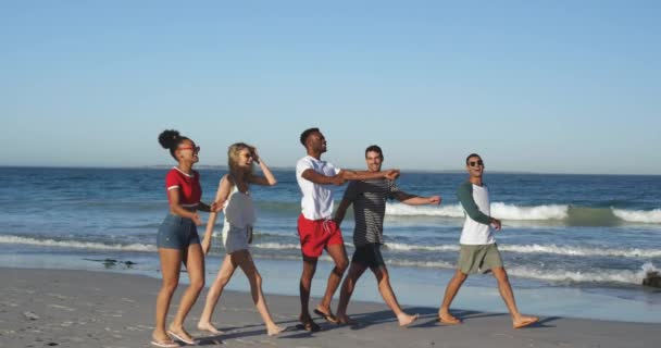 浜辺を歩く幸せな若い大人の友人の多民族グループの完全な長さの側面図 一緒にビーチで夏の楽しみを持っている若い友人4K — ストック動画