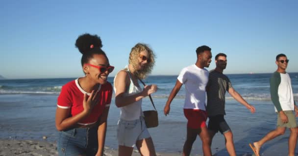 浜辺を歩く幸せな若い大人の友人の多民族グループの側面図笑いと話 一緒にビーチで夏の楽しみを持っている若い友人4K — ストック動画