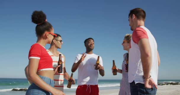 幸せな若い成人の男女の友人が一緒にビーチでぶらぶらしている多民族のグループの低角度の眺めを閉じ 立って 彼らのボトルとビールを飲んで乾杯します 一緒にビーチで夏の楽しみを持っている若い友人4K — ストック動画
