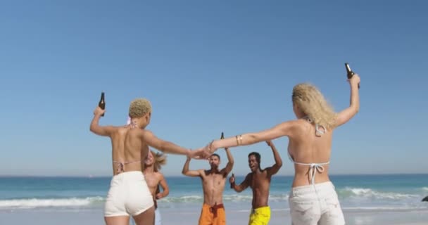 一群多民族的快乐成年朋友在沙滩上跳舞 喝着啤酒 挥舞着国旗 年轻的朋友在沙滩上享受夏天的乐趣 一起4K — 图库视频影像