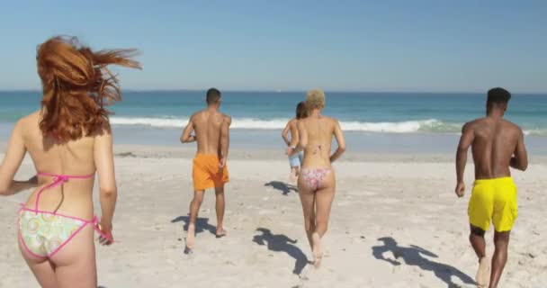 Vista Posterior Cerca Grupo Multiétnico Amigos Adultos Jóvenes Una Playa — Vídeo de stock