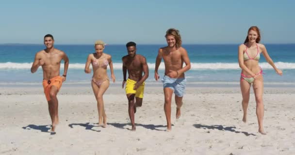 Vista Frontal Grupo Multiétnico Amigos Adultos Jóvenes Corriendo Una Playa — Vídeos de Stock