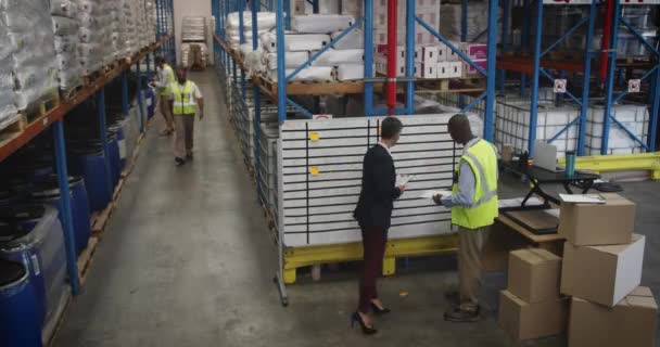 Movimiento Rápido Vista Elevada Del Gerente Almacén Femenino Caucásico Mediana — Vídeo de stock