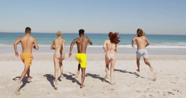 Вид Ззаду Багатоетнічну Групу Молодих Дорослих Друзів Пляжі Біжить Моря — стокове відео