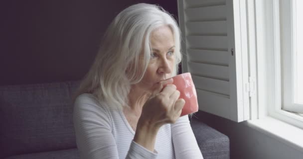 Vista Lateral Uma Mulher Caucasiana Sênior Pensativa Bebendo Café Olhando — Vídeo de Stock