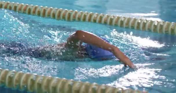 在游泳池里训练的年轻混合种族女子游泳选手的侧视图 — 图库视频影像