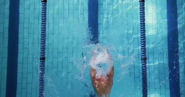 Overhead View Young Caucasian Male Swimmer Training Swimming Pool Butterfly — Stock Video
