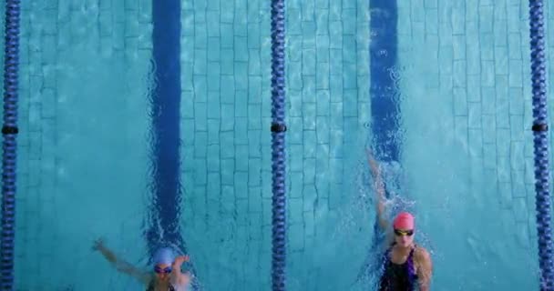 Yüzme Havuzunda Eğitim Gören Genç Kadın Yüzücülerin Tepeden Görünümü Sırtüstü — Stok video