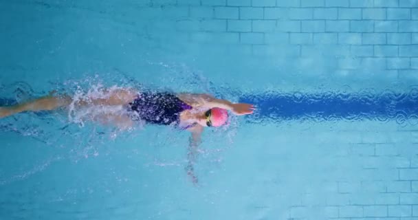 Visão Aérea Uma Jovem Nadadora Treinando Uma Piscina Costas — Vídeo de Stock