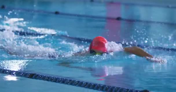 在游泳池里训练的年轻白种女游泳运动员的侧视图 — 图库视频影像