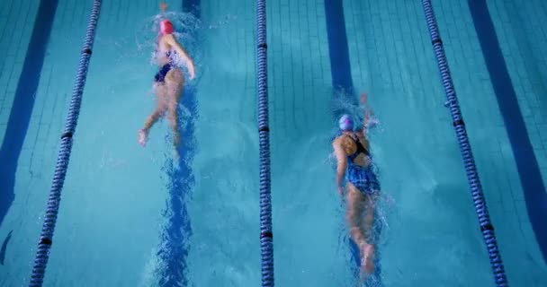 Yüzme Havuzunda Eğitim Gören Genç Kadın Yüzücülerin Yüksek Açı Görünümü — Stok video