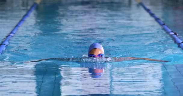 年轻混合种族女子游泳选手在游泳池 蛙泳训练的正面观点 — 图库视频影像
