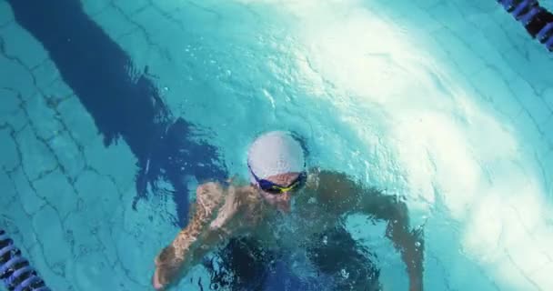 Vue Face Jeune Nageur Caucasien Entraînant Dans Une Piscine Émergeant — Video