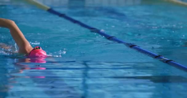 Vista Frontal Nadadoras Jóvenes Entrenando Una Piscina Gatear — Vídeos de Stock