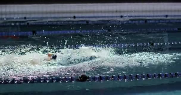 一个年轻的白种男性游泳选手在游泳池训练侧视图 — 图库视频影像